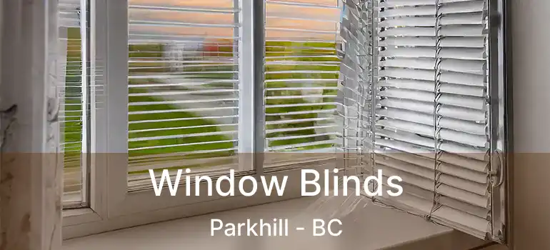 Window Blinds Parkhill - BC