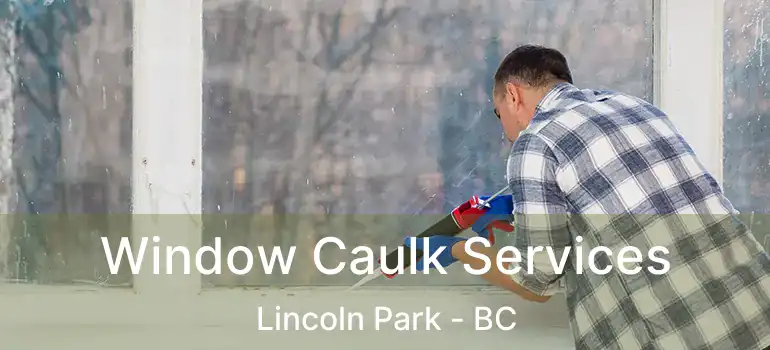 Window Caulk Services Lincoln Park - BC