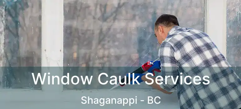 Window Caulk Services Shaganappi - BC