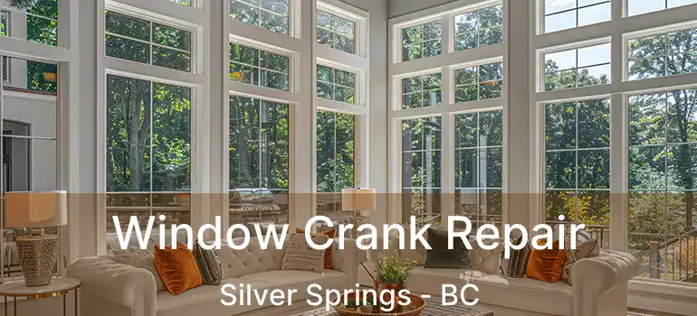 Window Crank Repair Silver Springs - BC