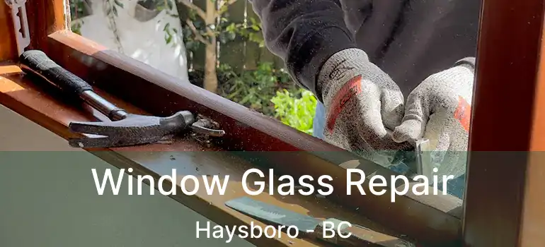 Window Glass Repair Haysboro - BC