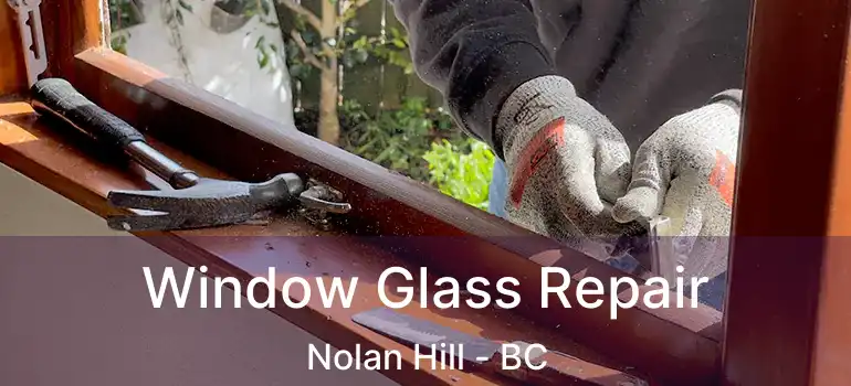 Window Glass Repair Nolan Hill - BC