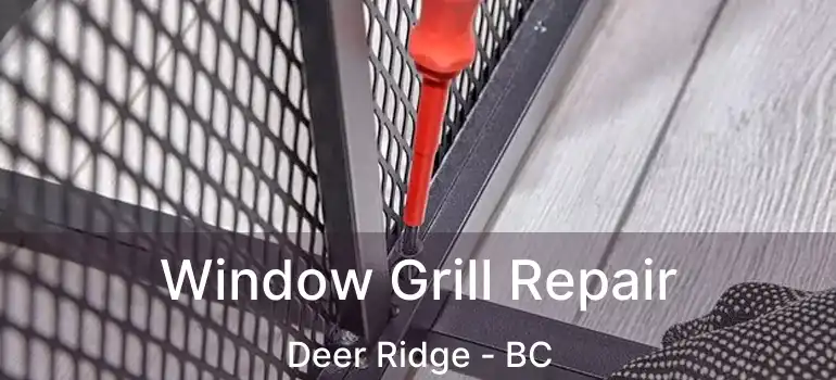 Window Grill Repair Deer Ridge - BC