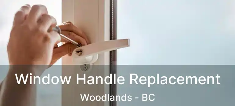 Window Handle Replacement Woodlands - BC