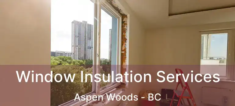 Window Insulation Services Aspen Woods - BC