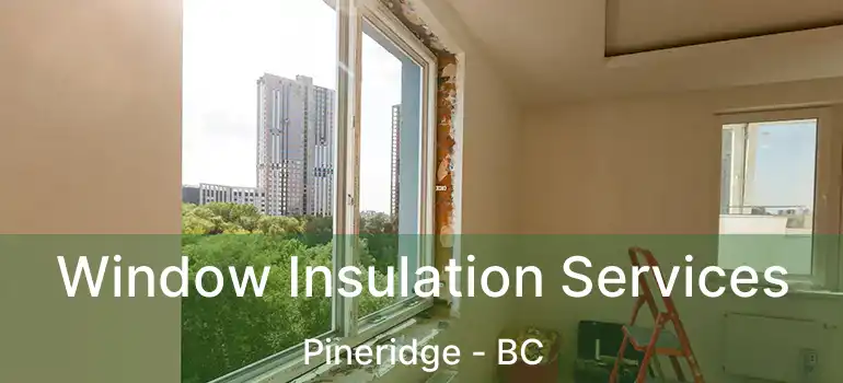 Window Insulation Services Pineridge - BC