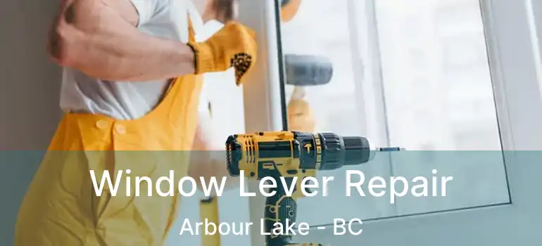 Window Lever Repair Arbour Lake - BC