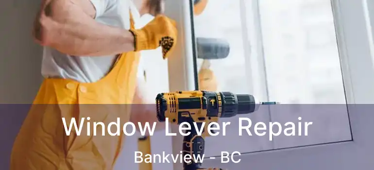 Window Lever Repair Bankview - BC