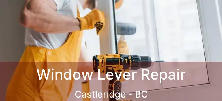 Window Lever Repair Castleridge - BC