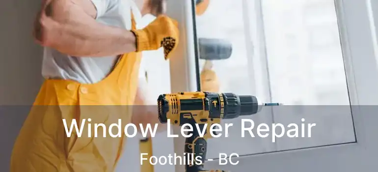 Window Lever Repair Foothills - BC