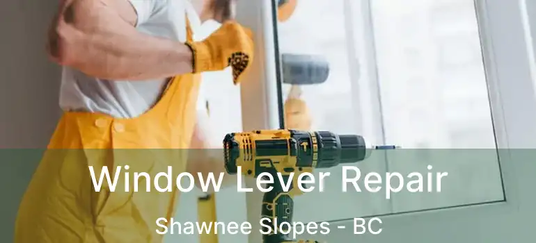 Window Lever Repair Shawnee Slopes - BC