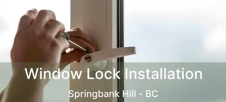 Window Lock Installation Springbank Hill - BC