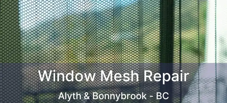 Window Mesh Repair Alyth & Bonnybrook - BC