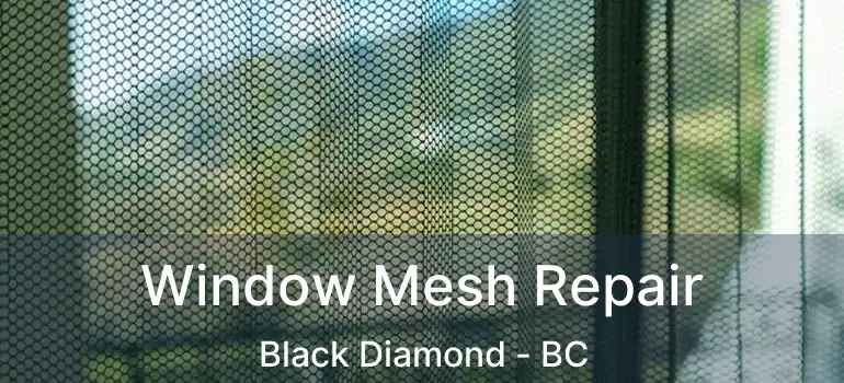 Window Mesh Repair Black Diamond - BC