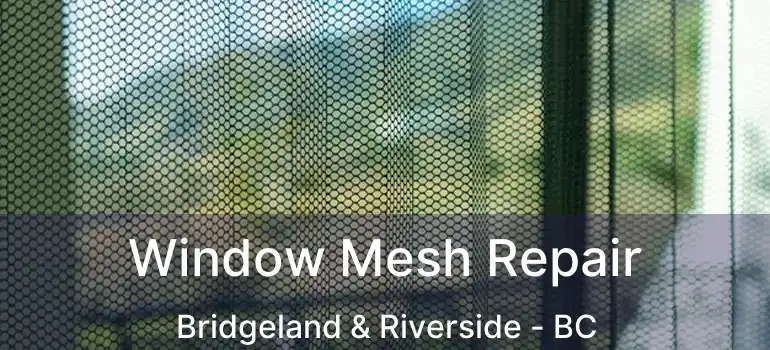 Window Mesh Repair Bridgeland & Riverside - BC