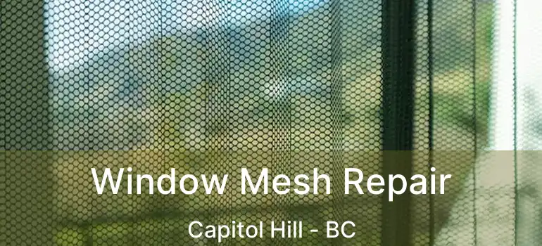 Window Mesh Repair Capitol Hill - BC