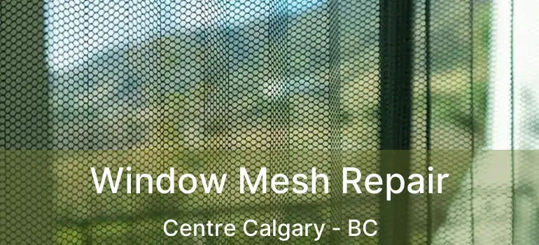 Window Mesh Repair Centre Calgary - BC