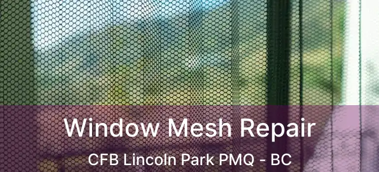 Window Mesh Repair CFB Lincoln Park PMQ - BC
