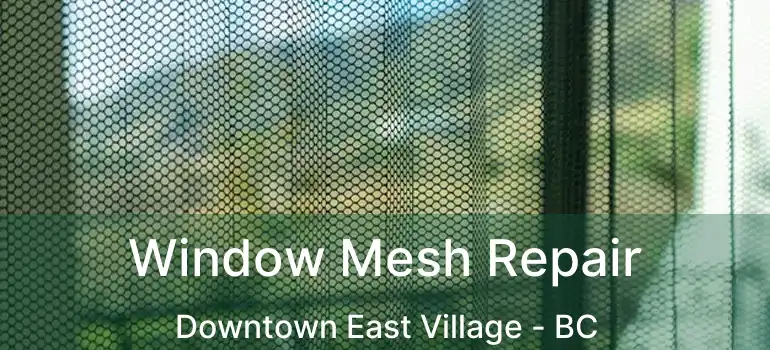 Window Mesh Repair Downtown East Village - BC