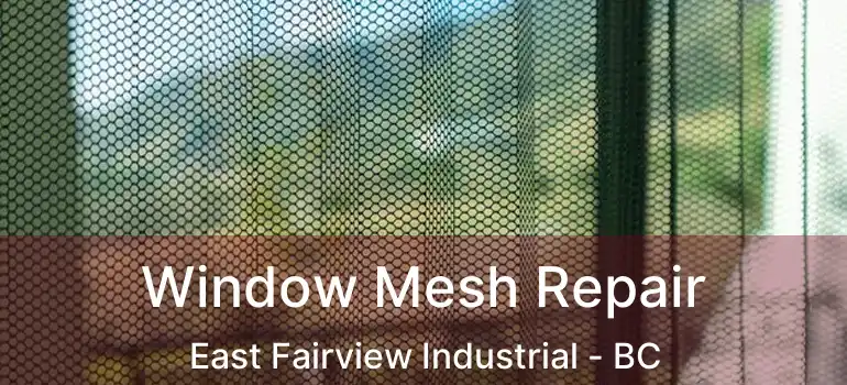Window Mesh Repair East Fairview Industrial - BC
