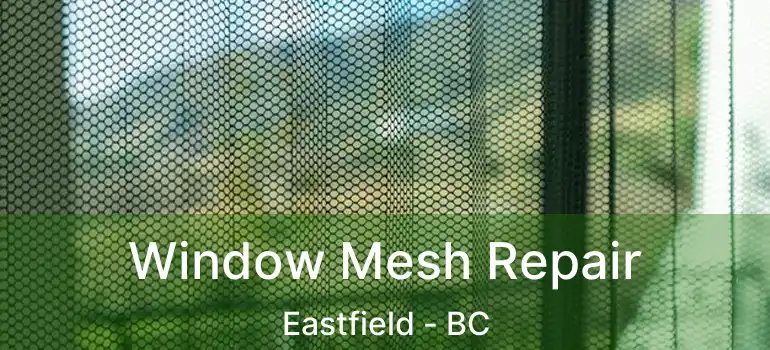 Window Mesh Repair Eastfield - BC