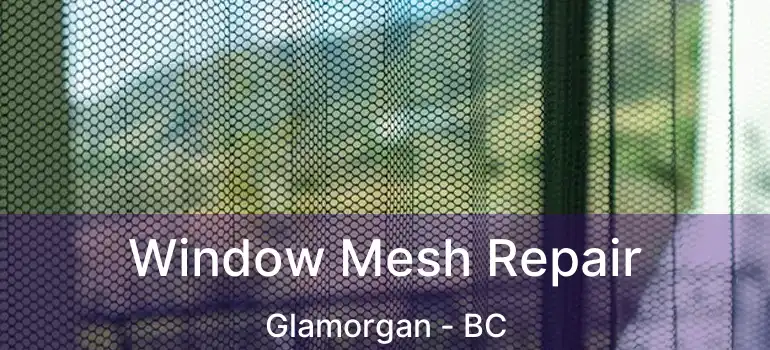 Window Mesh Repair Glamorgan - BC