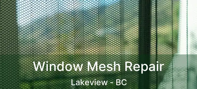 Window Mesh Repair Lakeview - BC