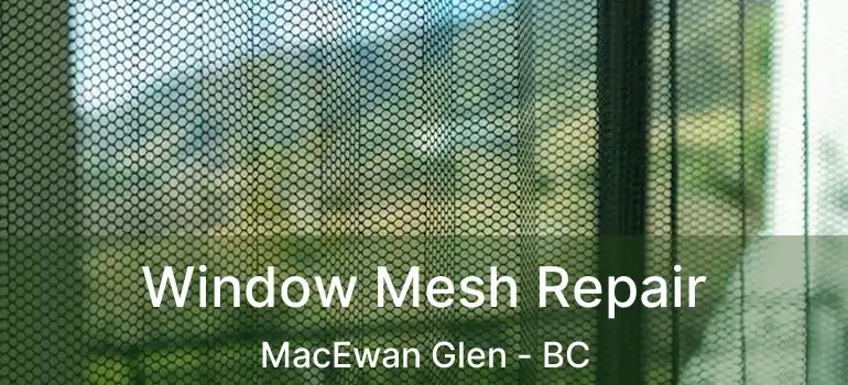 Window Mesh Repair MacEwan Glen - BC