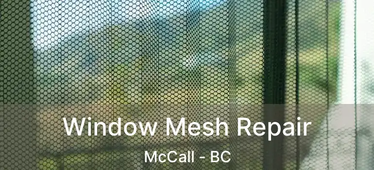 Window Mesh Repair McCall - BC