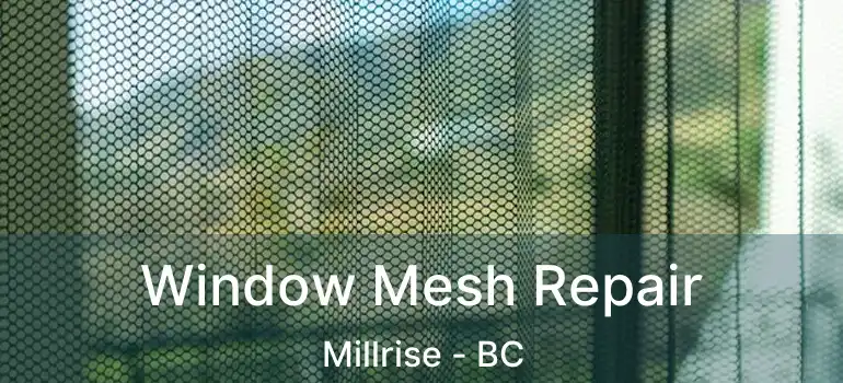 Window Mesh Repair Millrise - BC