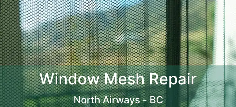 Window Mesh Repair North Airways - BC