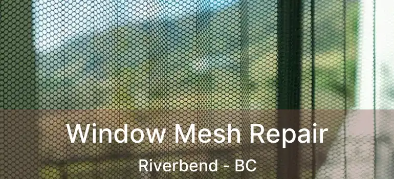 Window Mesh Repair Riverbend - BC