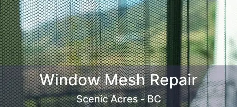 Window Mesh Repair Scenic Acres - BC
