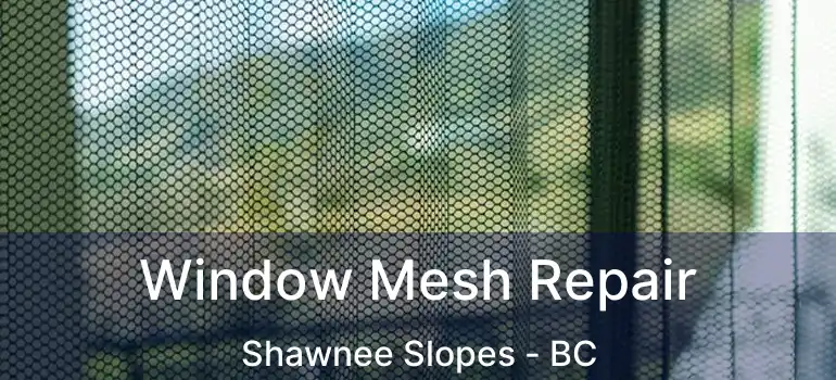 Window Mesh Repair Shawnee Slopes - BC
