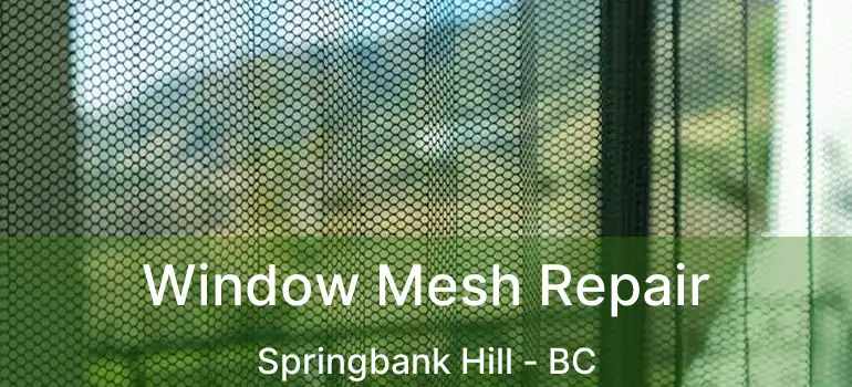 Window Mesh Repair Springbank Hill - BC