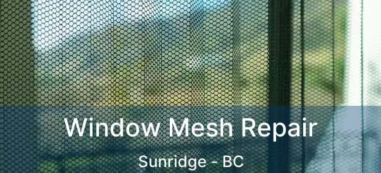 Window Mesh Repair Sunridge - BC