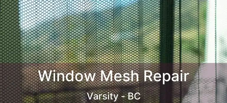 Window Mesh Repair Varsity - BC