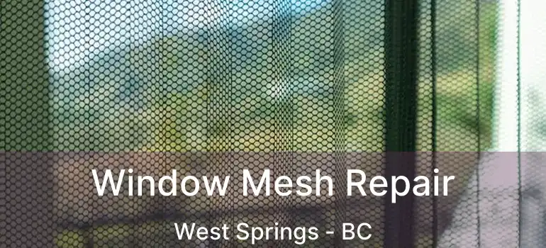 Window Mesh Repair West Springs - BC