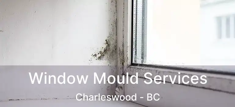 Window Mould Services Charleswood - BC