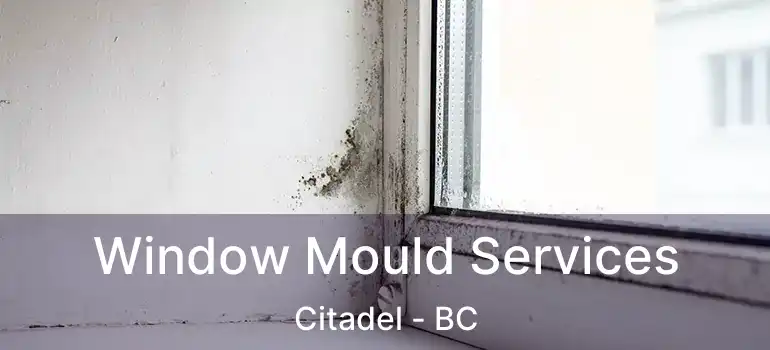 Window Mould Services Citadel - BC