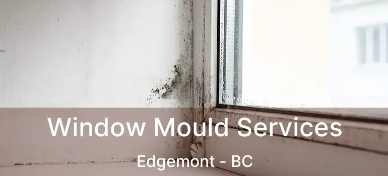 Window Mould Services Edgemont - BC