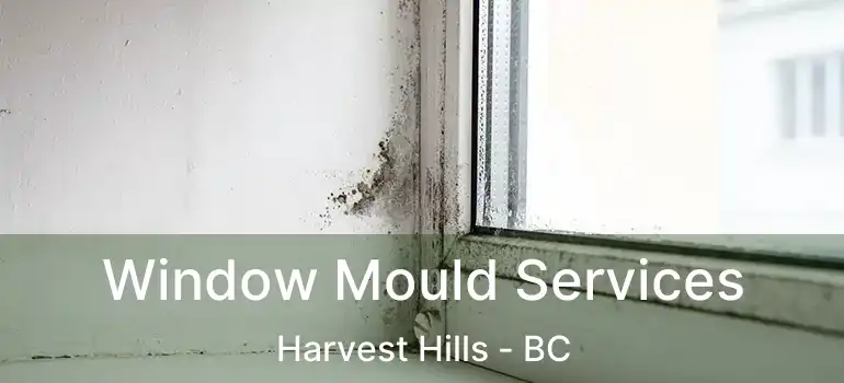 Window Mould Services Harvest Hills - BC
