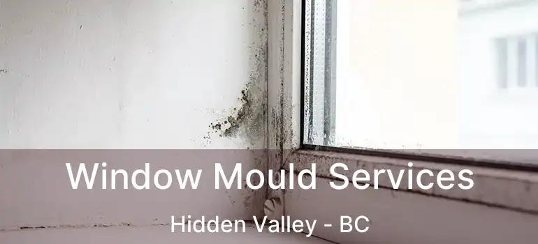 Window Mould Services Hidden Valley - BC