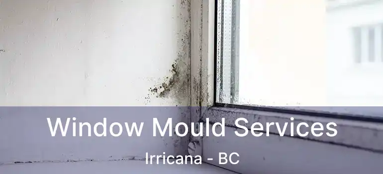 Window Mould Services Irricana - BC
