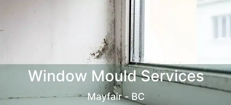 Window Mould Services Mayfair - BC