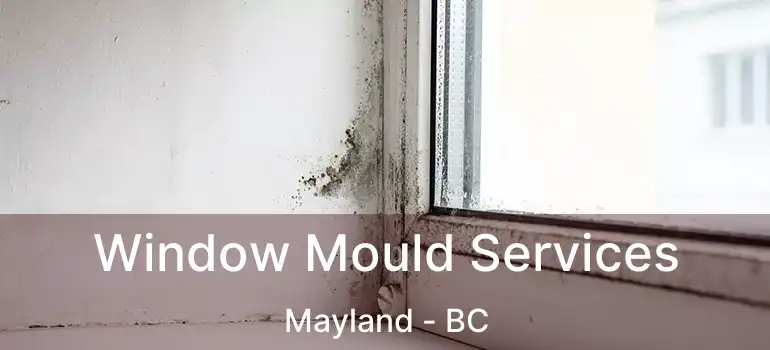 Window Mould Services Mayland - BC