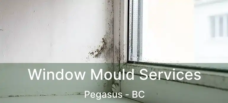 Window Mould Services Pegasus - BC