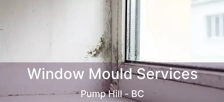 Window Mould Services Pump Hill - BC