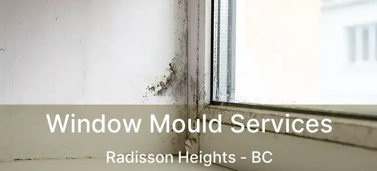 Window Mould Services Radisson Heights - BC