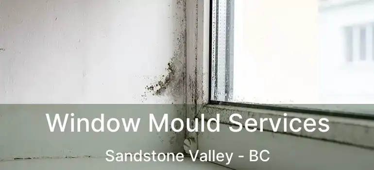 Window Mould Services Sandstone Valley - BC